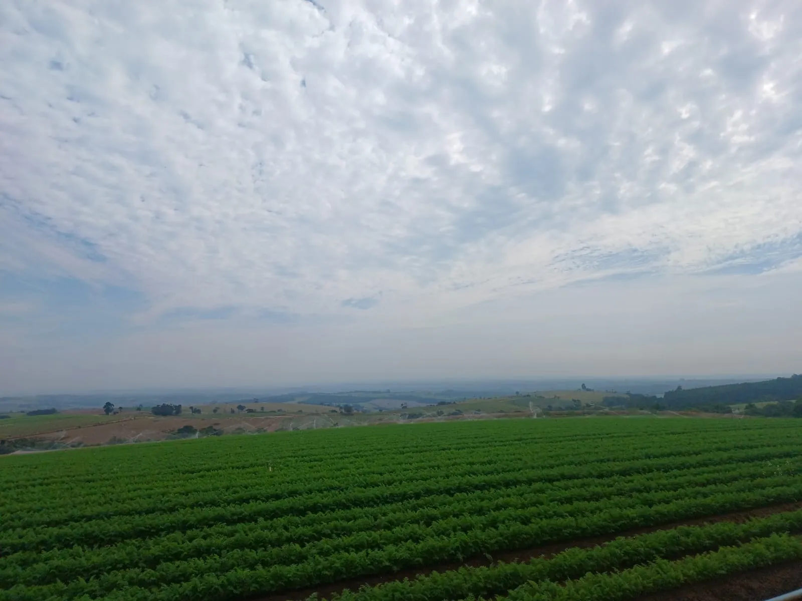 Vistoria em propriedade rural